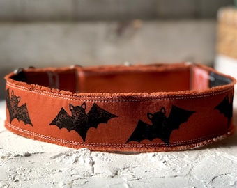 San Antonio Dog Collar