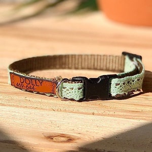 Könnte beinhalten: Ein hellgrünes Hundehalsband mit einem braunen Lederanhänger, auf dem "DOLLY 469-644" steht.