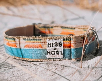 Baja Dog Collar