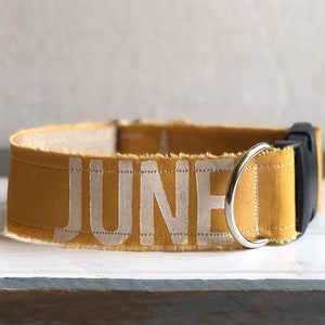 Personligt senapsgult hundhalsband