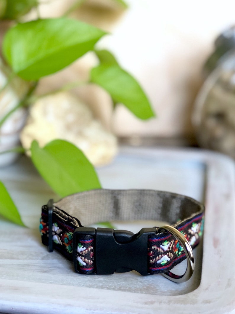 Small Bisbee Dog Collar
