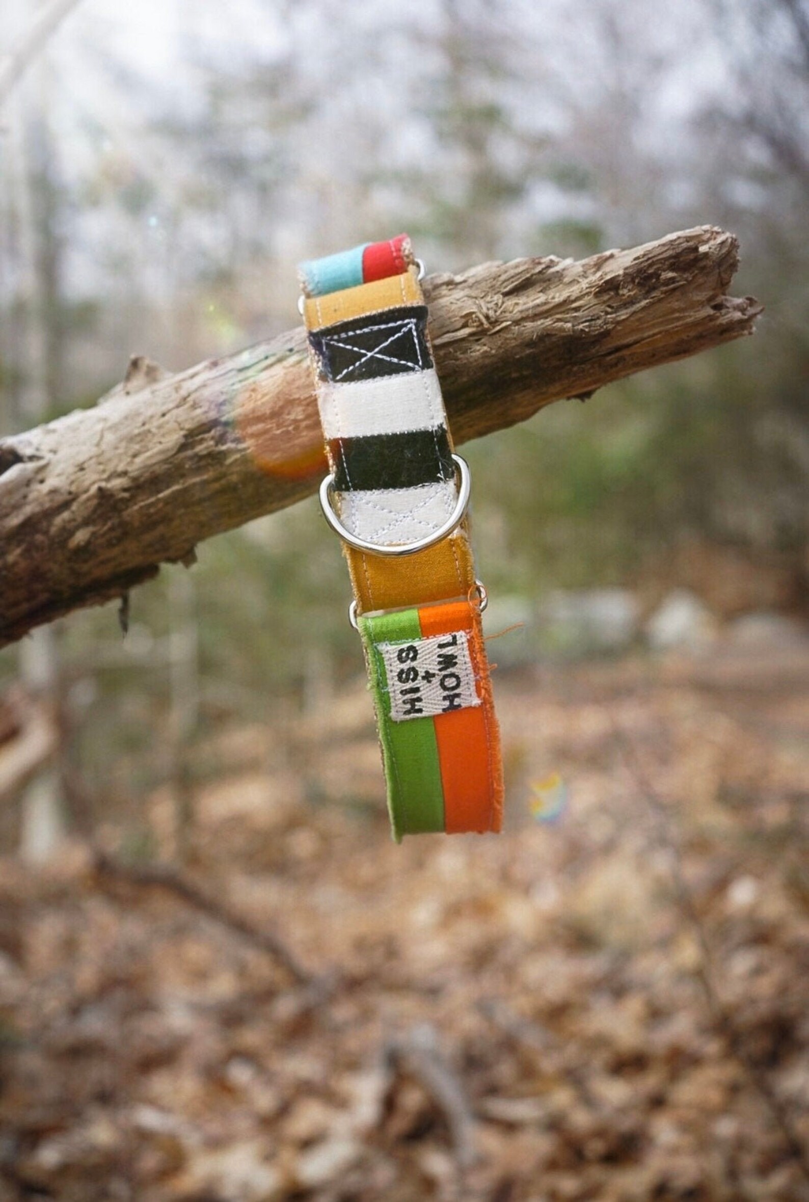 Color Block Dog Collar Bright Etsy