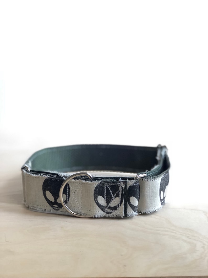 Alien dog collar Clearance