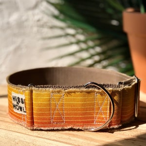 Actualización de martingala de 2 pulgadas de ancho