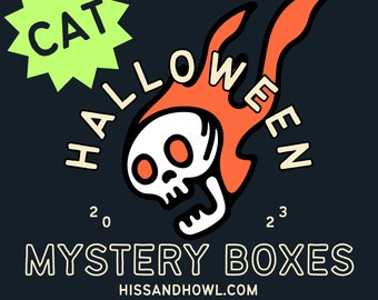 Cat Halloween Mystery Box - PLEASE READ