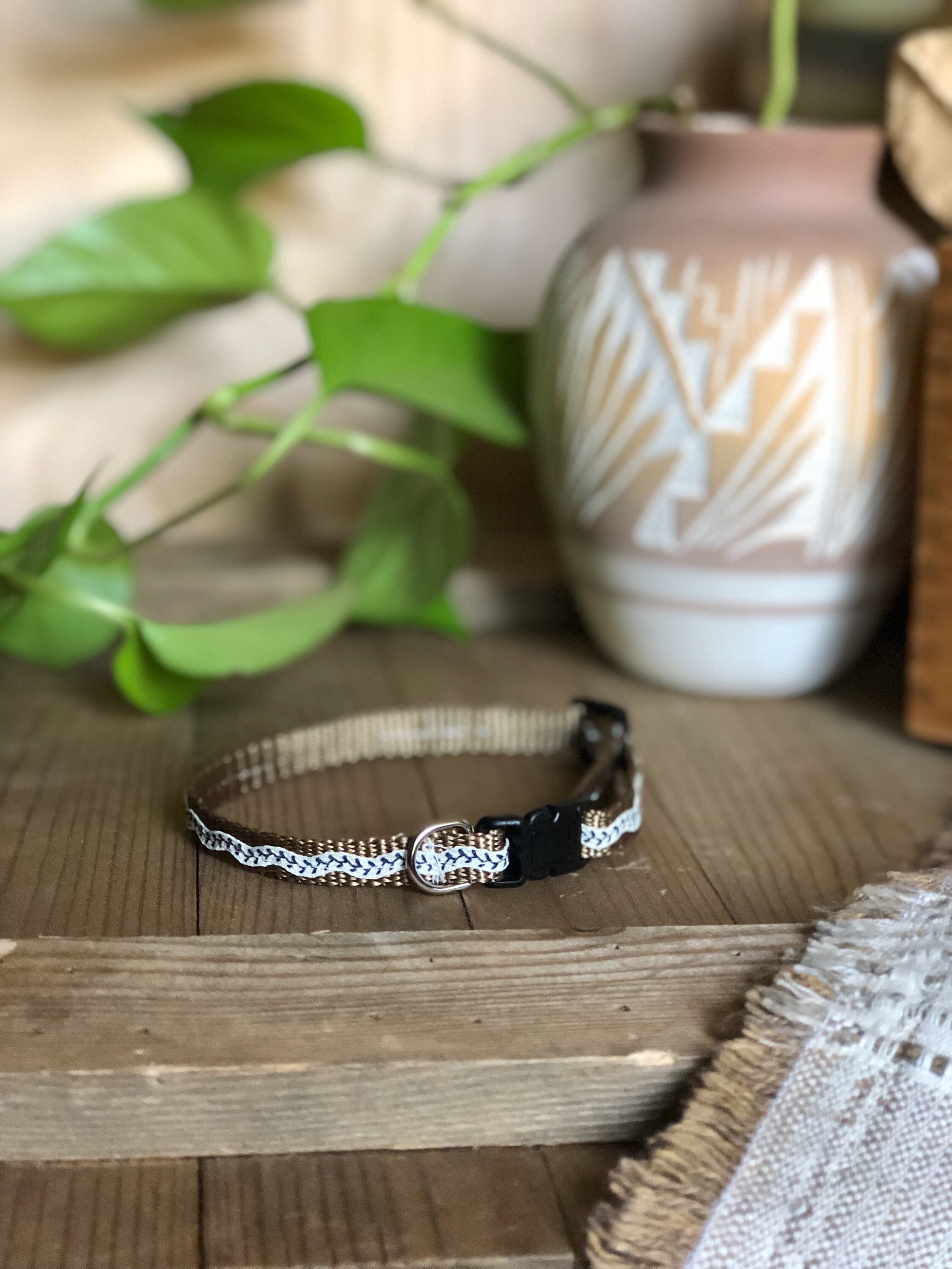 Ocala Tiny Dog Collar