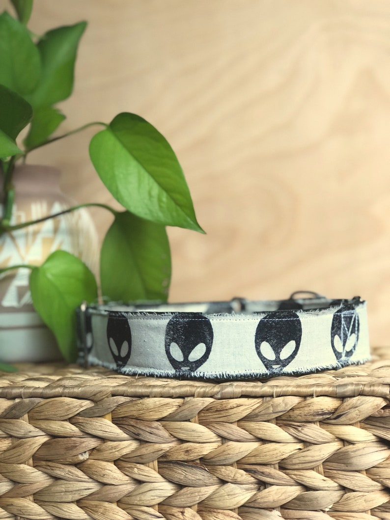 Alien dog collar Clearance