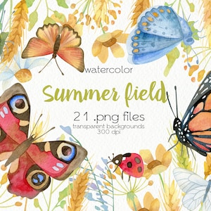 Watercolor Wild Flowers Clipart / Summer Meadow / Butterflies / Digital PNG Files / Instant Download