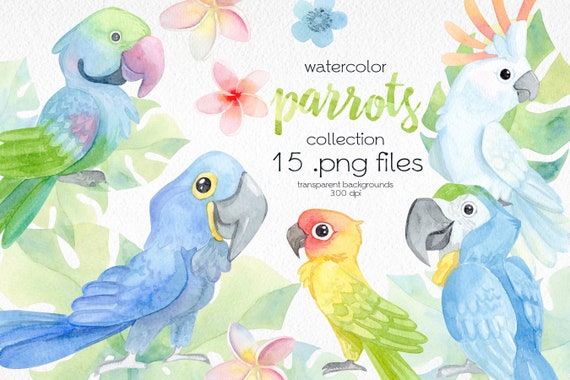 Download Watercolor Tropical Birds Clipart Parrot Clip Art Exotic Etsy