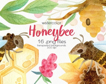 Watercolor Honeybee Clipart / PNG Files / Instant Download
