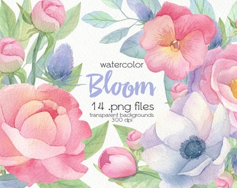 Watercolor Spring Flowers Clipart / Peonies, Anemones, Pansies / PNG Files / Instant Download