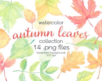 Aquarel herfstbladeren / herfstbladclipart / handgeschilderde bladeren / digitale PNG-bestanden / instant download