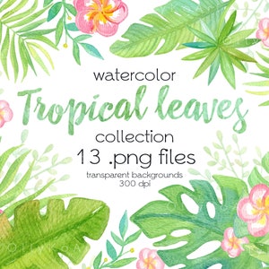 Aquarell Tropische Blätter / Monstera, Palme, Bananenblätter / Plumeria Blumen / Digitale PNG Dateien / Direkter Download