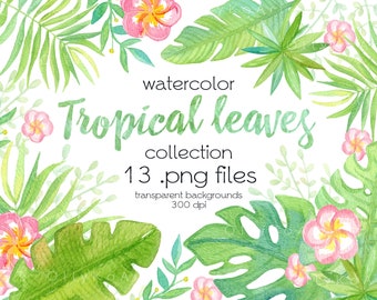 Watercolor Tropical Leaves / Monstera, Palm, Banana Leaves / Plumeria Flowers / Digital PNG Files / Instant Download