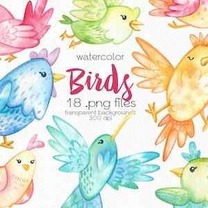 Watercolor Birds Clipart / Cartoon Birds / PNG Files / Instant Download