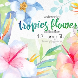 Watercolor Tropical Flowers Clipart / Hawaii Clipart / Calla, Strelitzia, Plumeria, Hibiscus / Digital PNG Files / Instant Download