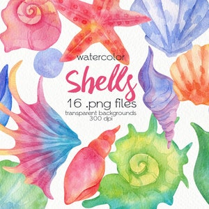 Watercolor Seashells Clipart / Summer Beach / PNG Files / Instant Download