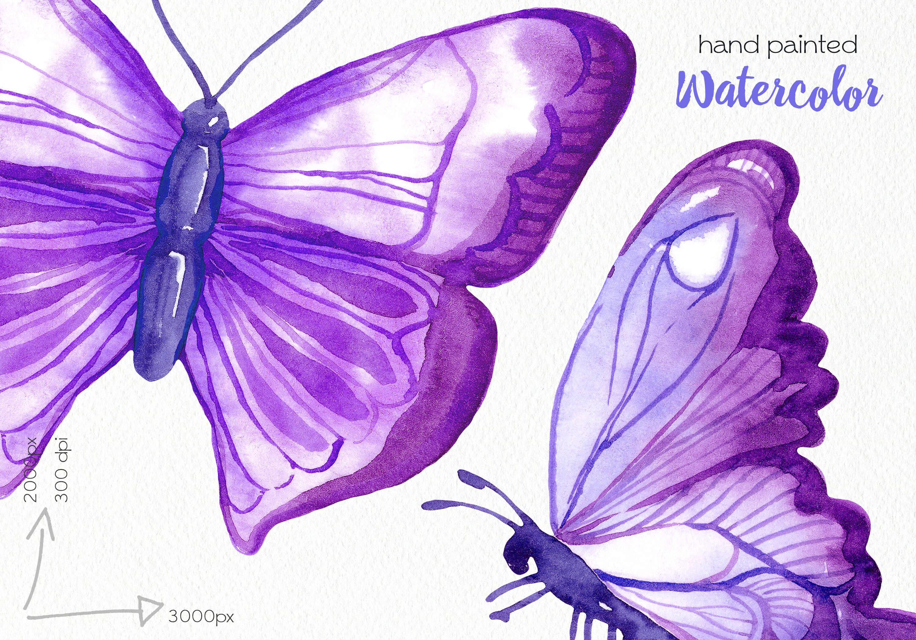 Watercolor Purple Butterflies Clipart / Hand Painted Butterfly Etsy