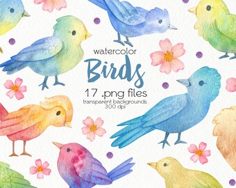 Watercolor Birds Clipart / Spring Blossom / PNG Files / Instant Download