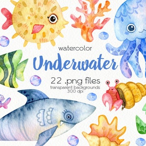 Aquarell Unterwasser Clipart / Meerestiere / Qualle, Hai, Schwertfisch, Oktopus, Schildkröte / PNG Dateien / Direkter Download