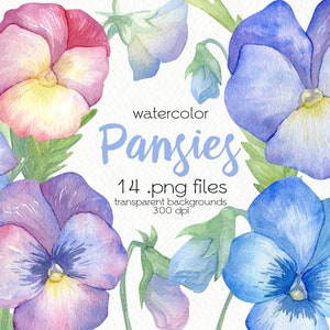 Watercolor Pansy Clipart / Viola / Spring Flowers / PNG Files / Instant Download