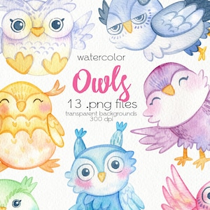 Watercolor Owls Clipart / Cartoon Birds / PNG Files / Instant Download