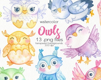 Watercolor Owls Clipart / Cartoon Birds / PNG Files / Instant Download