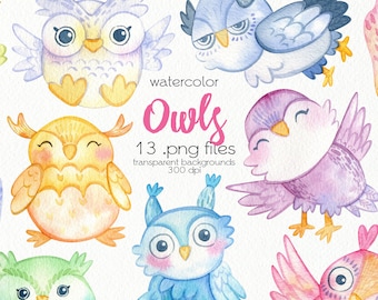 Watercolor Owls Clipart / Cartoon Birds / PNG Files / Instant Download