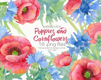 Wild Flowers Clipart / Poppies and Cornflowers / Watercolor Floral / PNG Files / Instant Download