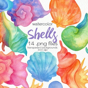 Watercolor Seashells Clipart / Summer Beach / PNG Files / Instant Download