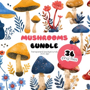 Bundle de clipart champignons fantastiques / clipart forêt / fichiers PNG / téléchargement immédiat
