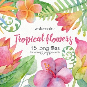 Watercolor Tropical Clipart / Summer Tropical Leaves and Flowers / Watercolor Exotic Floral / Digital PNG Files / Instant Download