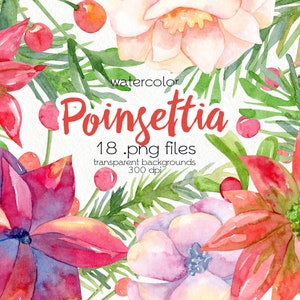 Clipart de poinsétia de Natal em aquarela / Clipart de férias / Arquivos PNG / Download instantâneo