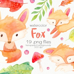 Aquarell Fuchs Clipart / Waldtiere / Herbst im Wald / PNG Dateien / Instant Download