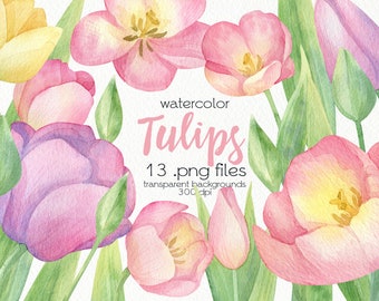 Watercolor Tulip Clipart / Spring Flowers / PNG Files / Instant Download