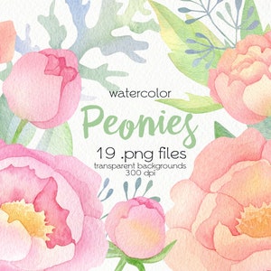 Watercolor Spring Flowers Clipart / Peony Flowers / PNG Files / Instant Download