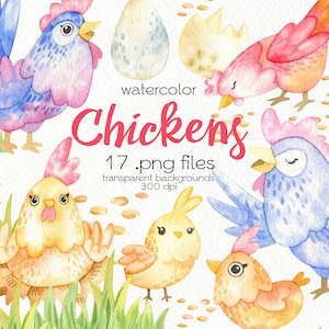 Acuarela Pollos Clipart / Pájaros de dibujos animados / Gallo / Archivos PNG / Descarga instantánea