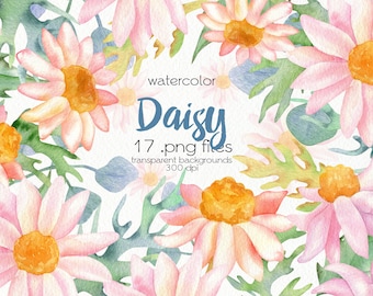 Akwarela Daisy Flower Clipart / Dzikie kwiaty, Rumianek / Kwiatowe ClipArt / Pliki PNG / Natychmiastowe pobieranie