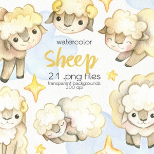 Watercolor Sheep Clipart / Farm Animal / PNG Files / Instant Download