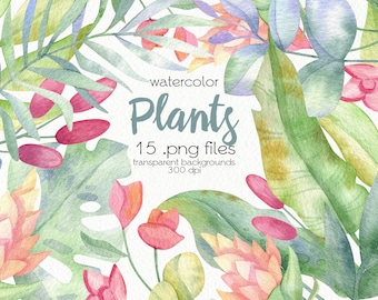 Watercolor Tropical Leaves Clipart / PNG Files / Instant Download