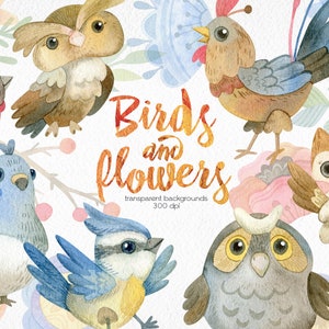 Aquarelle Oiseaux Clipart / Branche Aquarelle / Fleurs et feuilles / Hiboux, Poulet, Pigeon / Imprimable, Fichiers PNG numériques / Téléchargement instantané
