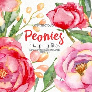 Watercolor Spring Flowers Clipart / Peony Flowers / PNG Files / Instant Download