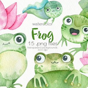 Aquarelle Frog Clipart / Mignons animaux des marais / Fichiers PNG / Téléchargement instantané