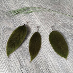 Kiwi leaves 3 pieces laminated