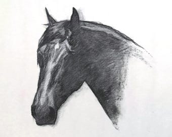 Disegno originale a carboncino di un cavallo - Arte equina contemporanea