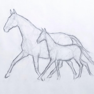 ORIGINAL Horse Charcoal Drawing - Contemporary Equine Art - Mare & Foal