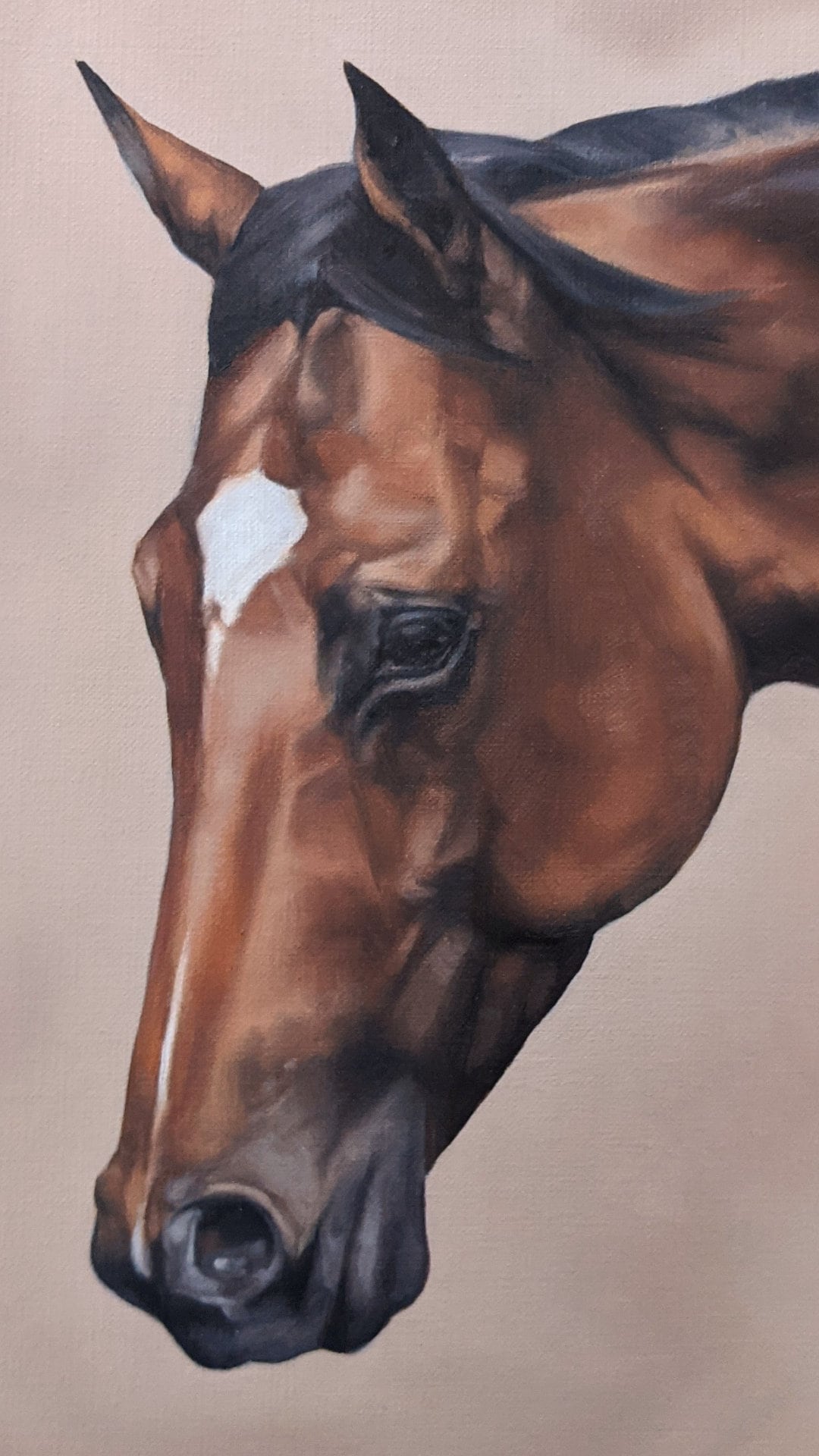 ORIGINAL Horse Oil Painting 'FRANKEL' Etsy