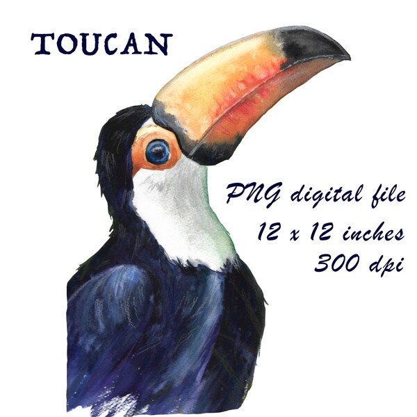 Hand painted Watercolor Toucan PNG Sublimation, Exotic birds lovers, Bright bird, wild bird digital print, handmade illustration of Toucan