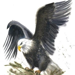 Originele A3-aquareltekening van wilde adelaar handgemaakte cadeau-idee dierlijke dieren in het wild kunst aquerelle muurdecoratie