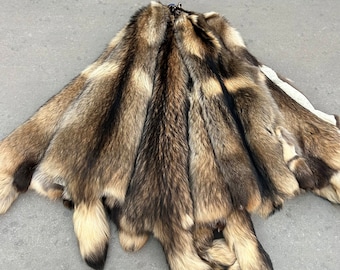 3XL Tanned Finn Raccoon Dog Tanuki Fur Pelt (Finland) -FREE SHIPPING